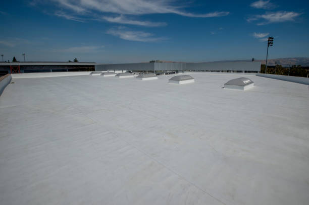Best Emergency Roof Repair Services  in Omro, WI