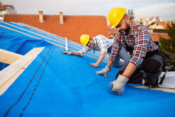 Best Gutter Installation and Repair  in Omro, WI